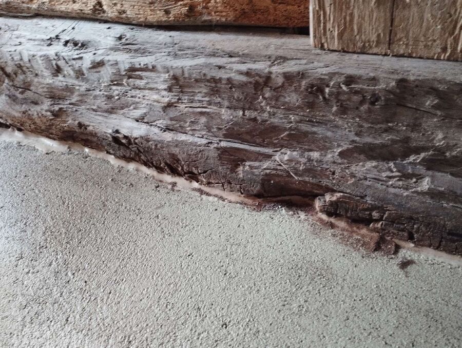 ameisen_vertreiben_bekaempfen_entfernen (58).jpeg