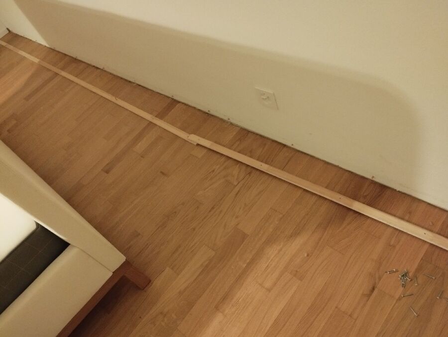 befall_schaedlinge (3)(16).jpeg